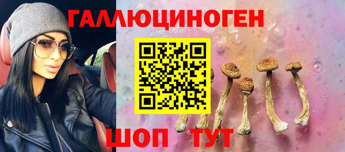 Псилоцибиновые грибы MAGIC MUSHROOMS  Вход с VPN  Усинск 
