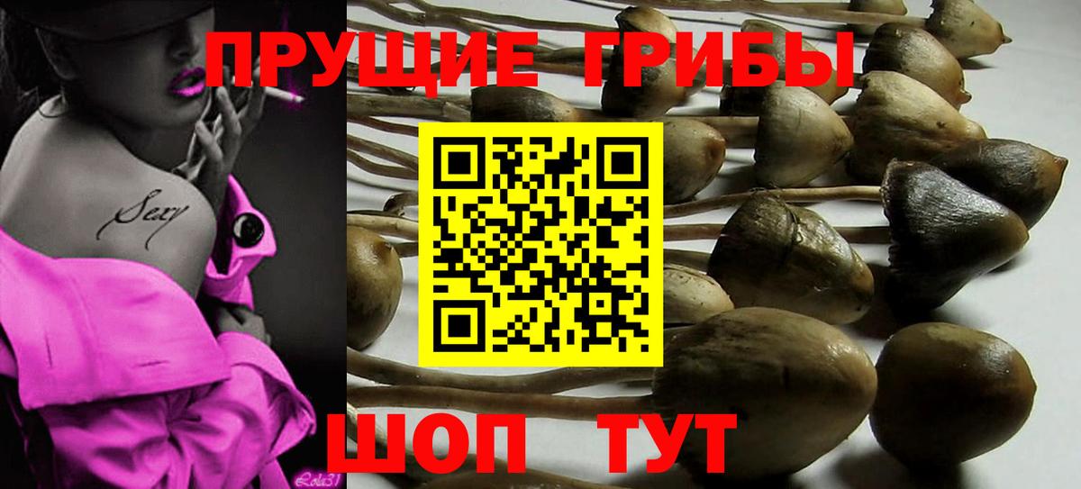 Псилоцибиновые грибы мицелий Усинск